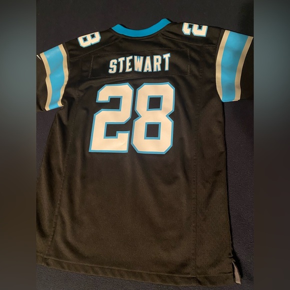 Carolina Panthers #28 Jonathon Stewart - Picture 6 of 7